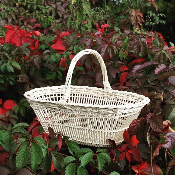 panier blanc