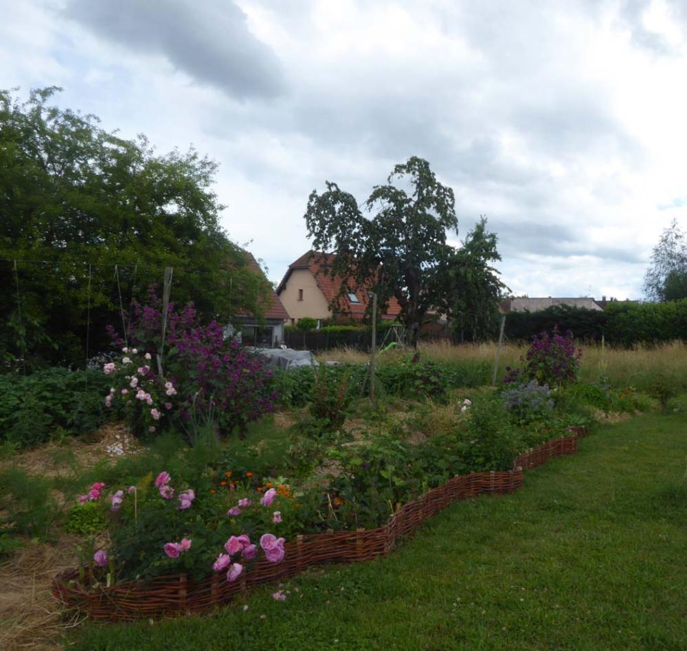 bordure de jardin