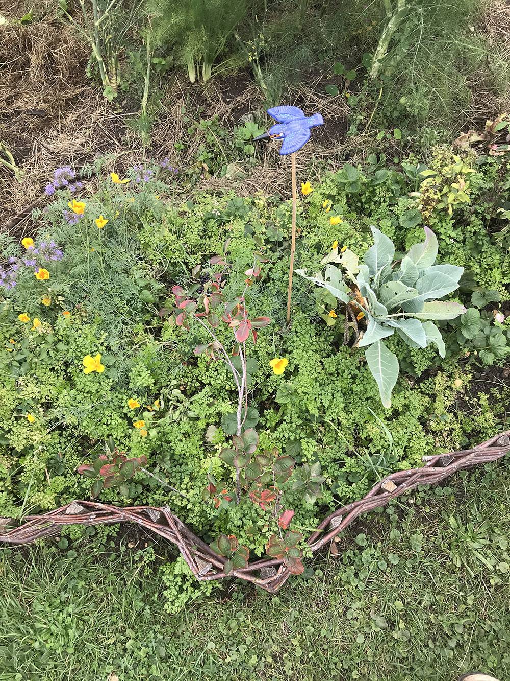 bordure jardin
