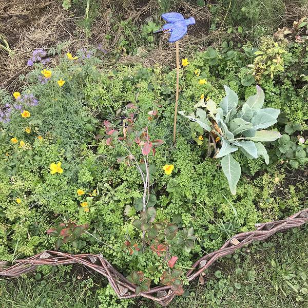 bordure jardin