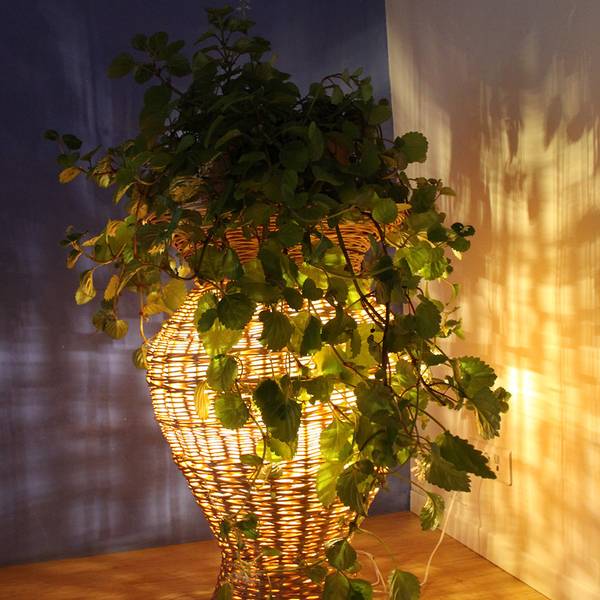 lampe allumée